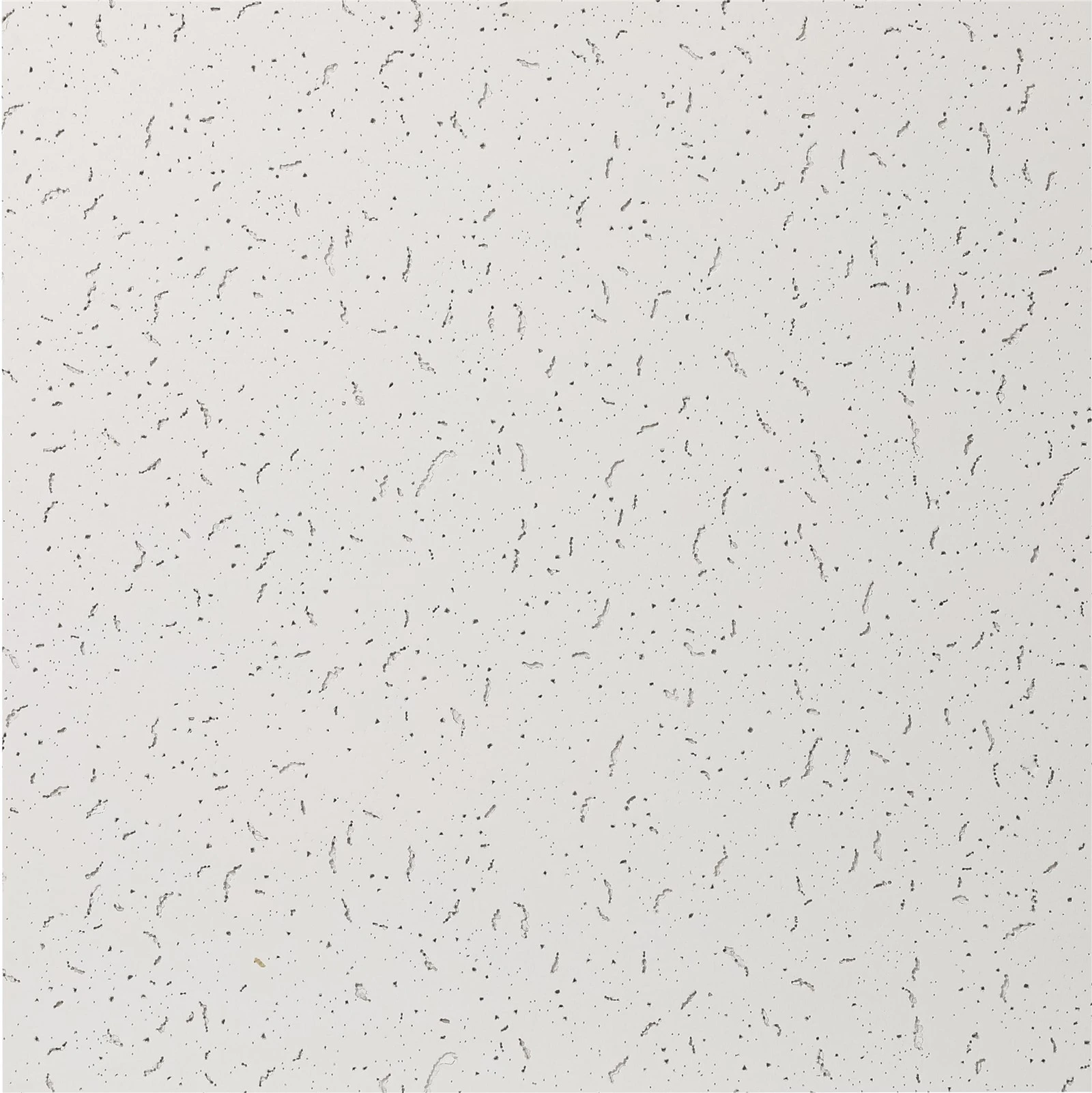 5 5