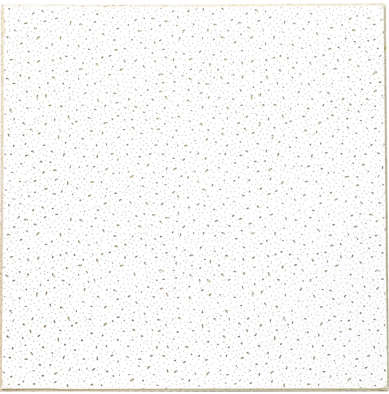 0002s00030002s0000s0004-21